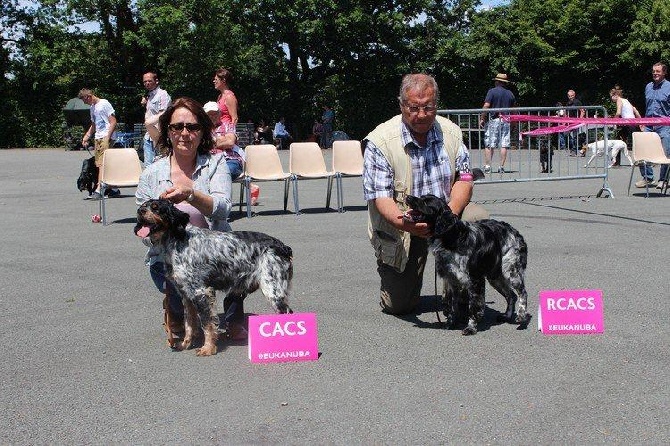 du comte de Batz Castelmore - Gallic Charm Champion de France 2014