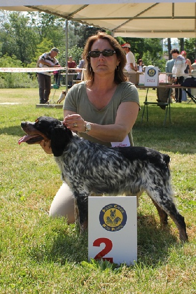 CH. Gallic charm du comte de Batz Castelmore