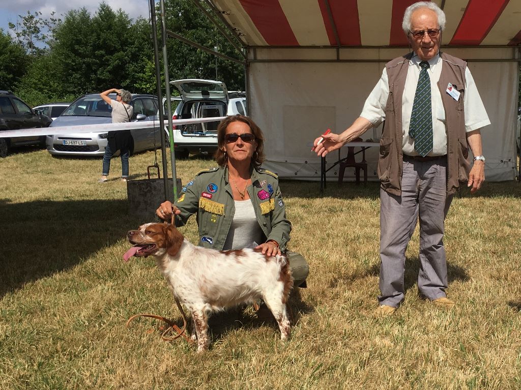 Iris du comte de Batz Castelmore