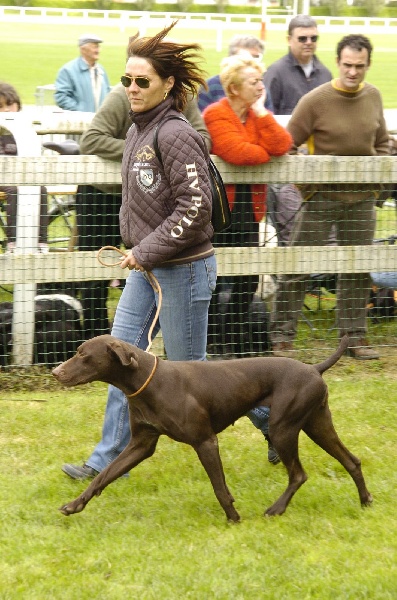AUCH 2010