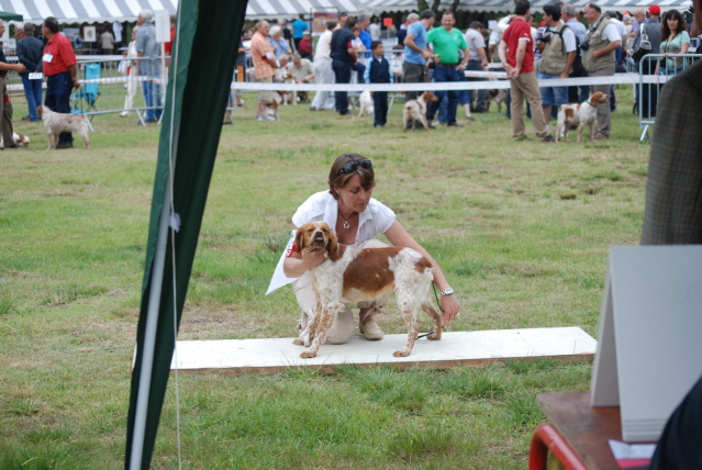NE EB Juillet 2009